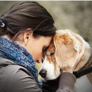 joyful-pets-rehome