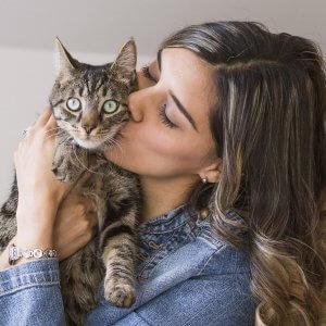 joyful-pets-rehome-cat